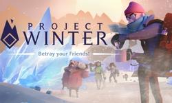 Project Winter video game poster