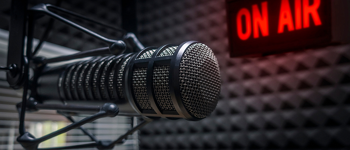 an image of a recording room with a microphone in it